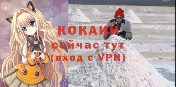 СК Осинники